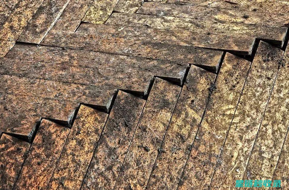 木地板吱呀作响？这些妙招助你恢复静音 (木地板吱呀作响怎么办)