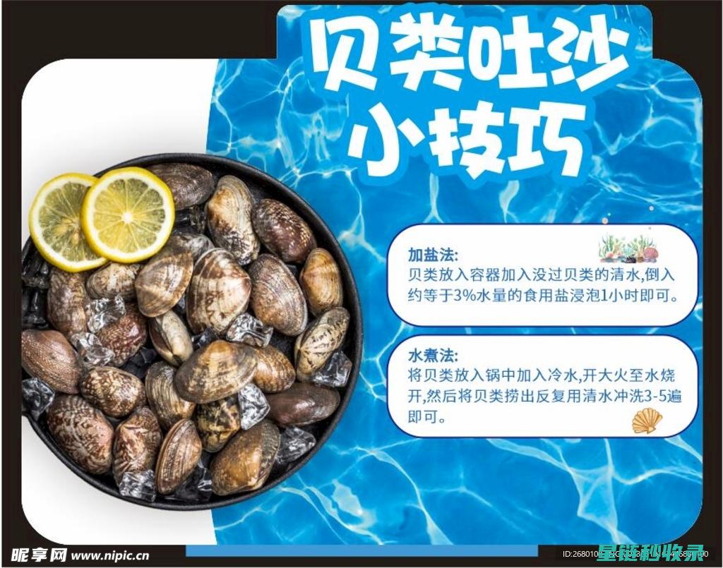 贝类吐沙现象：探索其在生态系统中的作用 (贝类 吐沙)